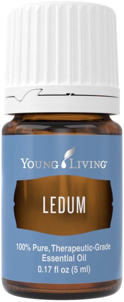 LEDUM Ledum groenlandicum