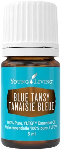Blauer Rainfarn - Blue Tansy